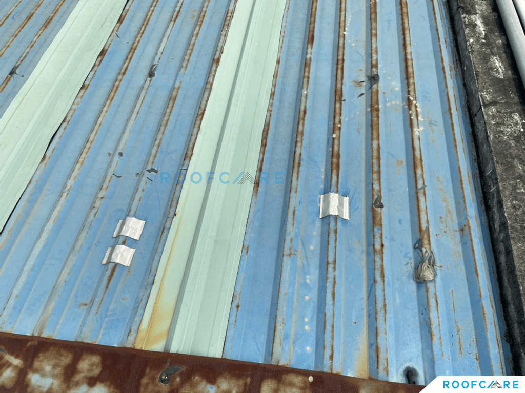 Cải tạo mái tôn nhà máy may mặc Scavi Biên Hòa