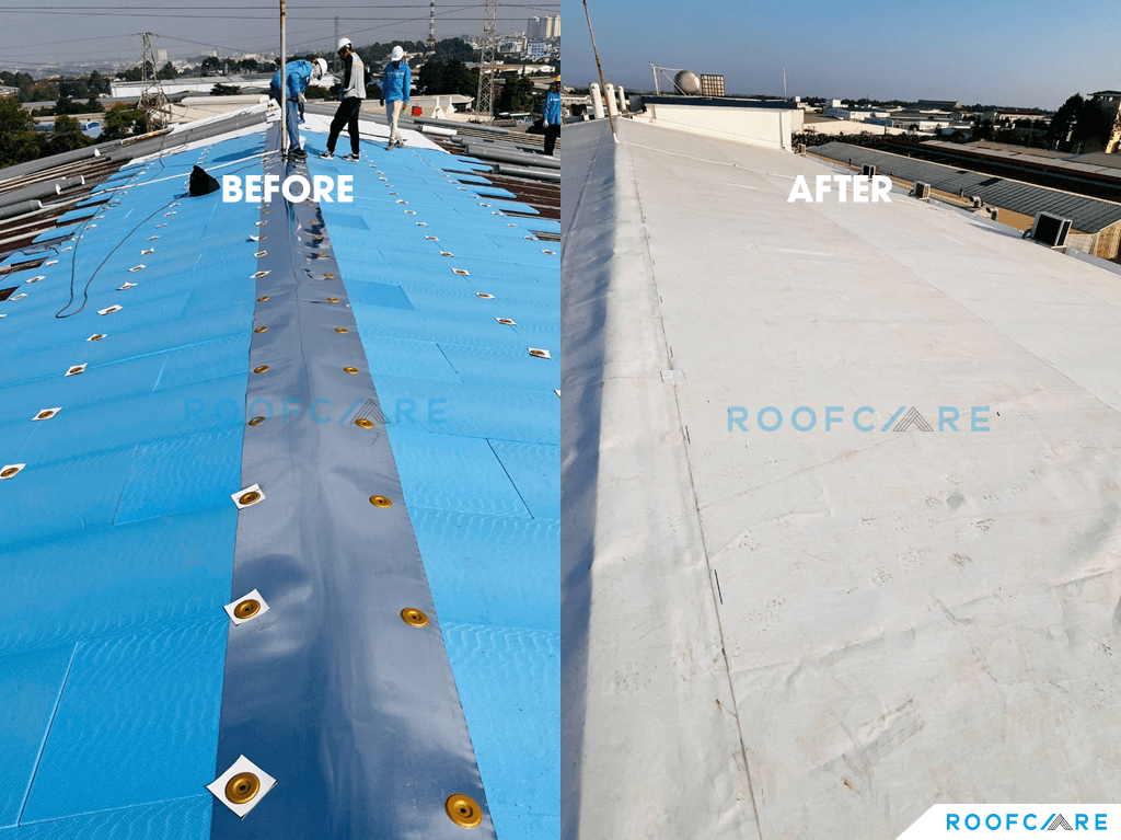 Cải tạo mái tôn nhà máy may mặc Scavi Biên Hòa