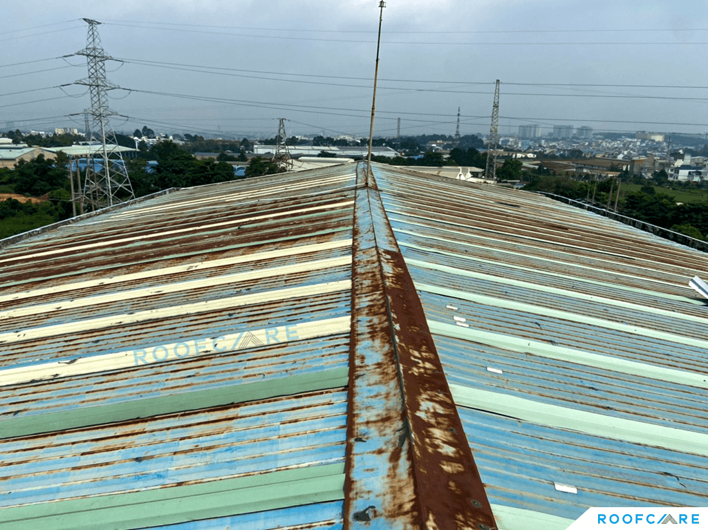 Cải tạo mái tôn nhà máy may mặc Scavi Biên Hòa